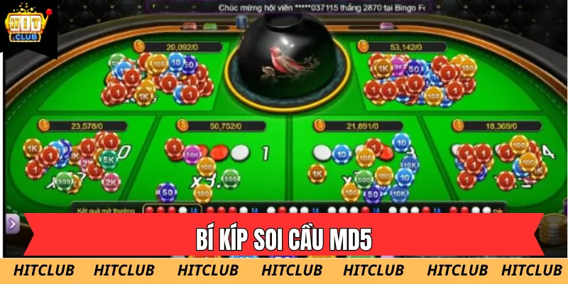 Sử dụng chuỗi mã hóa và lịch sử phiên để thực hiện bí kíp soi cầu MD5 2026